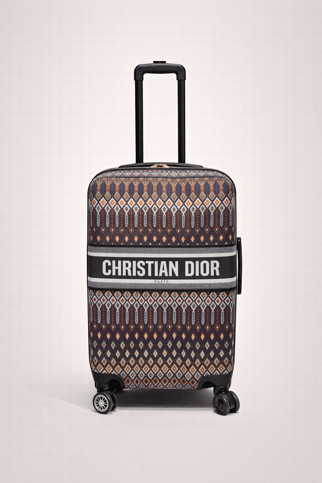 Christian Dior Kabin Boyu Bavul